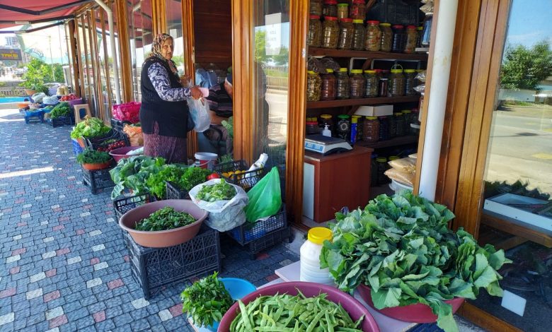 Bulancak Organik Pazarı Yeni Yerinde Bulancak Organik Pazarı Yeni Yerinde