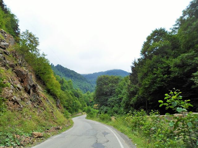 Dereli-Kotana arasındaki 7 km’lik yol için çalışma başlıyor Dereli-Kotana arasındaki 7 km’lik yol için çalışma başlıyor