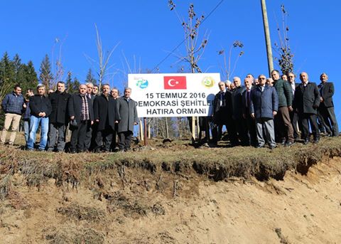 Demokrasi şehitleri anısına hatıra ormanı
