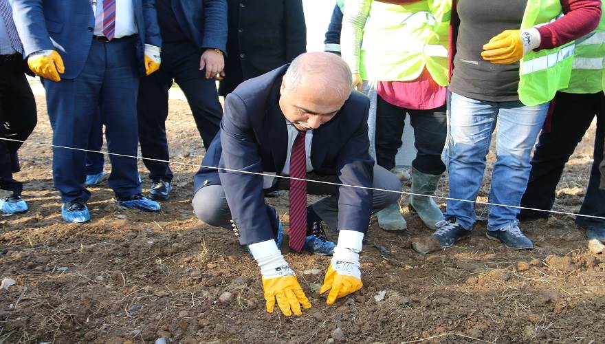 VALİ GİRESUN’A ALMAN ISIRGANI DİKTİ