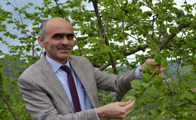 ZİRAAT ODASI’NDAN REKOLTE TEPKİSİ