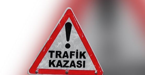 GÜRCİSTAN OTOBÜSÜ EYNESİL'DE KAZA YAPTI GÜRCİSTAN OTOBÜSÜ EYNESİL'DE KAZA YAPTI