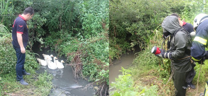 MAHSUR KALAN KAZLARI BELEDİYE KURTARDI