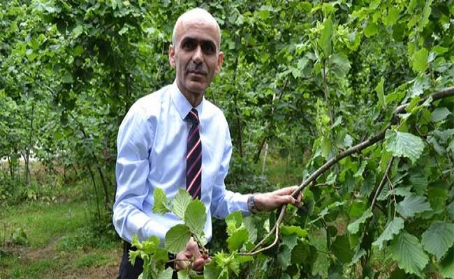 NURİTTİN KARAN DA FINDIK FİYATI YÜKSELECEK BEKLENTİSİ VAR