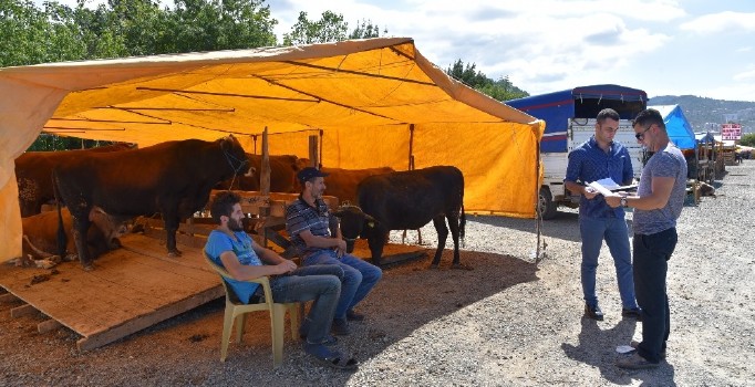 ELDE KALAN KURBANLIKLAR NE OLACAK?