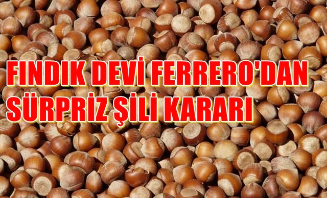 FERRERO FINDIK ŞİLİ’YE Mİ YÖNELİYOR