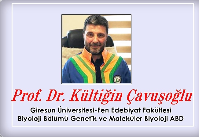 PROFESÖR KÜLTİĞİN ÇAVUŞOĞLU AŞILARI YAZDI