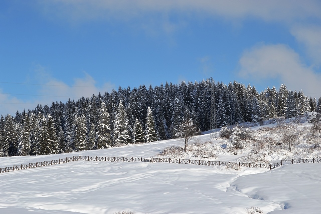 GİRESUN’A KAR GELİYOR. OKULLAR TATİL