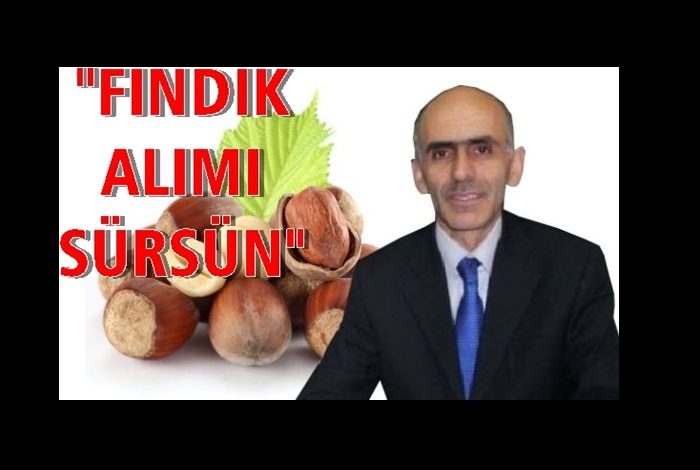 ZİRAAT ODASI DA 'TMO PİYASADA KALSIN' DEDİ ZİRAAT ODASI DA 'TMO PİYASADA KALSIN' DEDİ