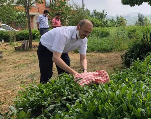 CHP MİLLETVEKİLİ TIĞLI, ÇAY FİYATLARINI SORDU CHP MİLLETVEKİLİ TIĞLI, ÇAY FİYATLARINI SORDU