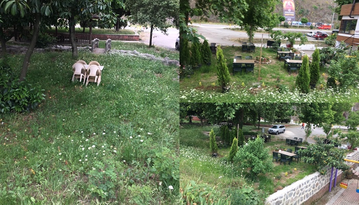 FİDAN YERİNE KÖFTECİ MASASI