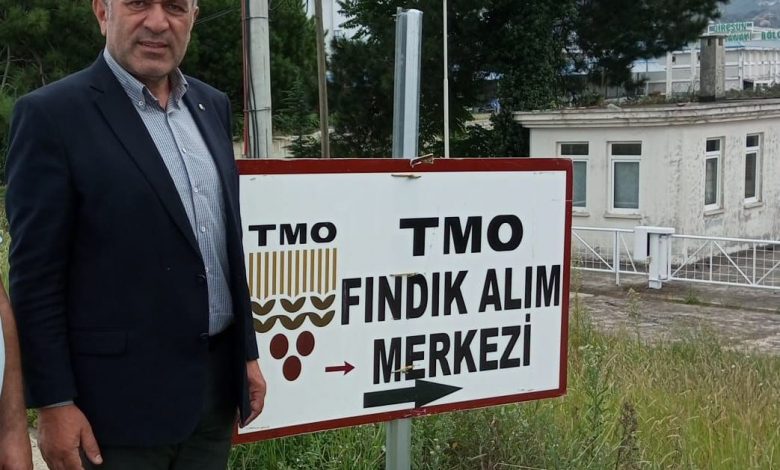 TMO GİRESUN'DA100, ORDU'DA 140 KG FINDIK ALIYOR TMO GİRESUN'DA100, ORDU'DA 140 KG FINDIK ALIYOR