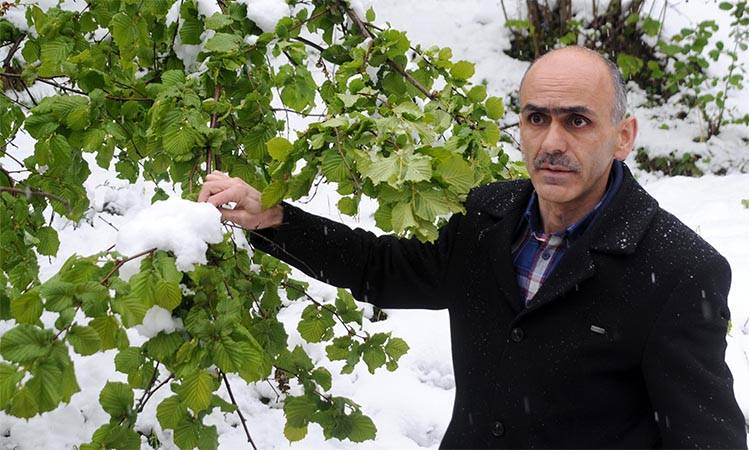 Giresun Ziraat Odası Başkanı Karan’dan üreticiye TARSİM çağrısı