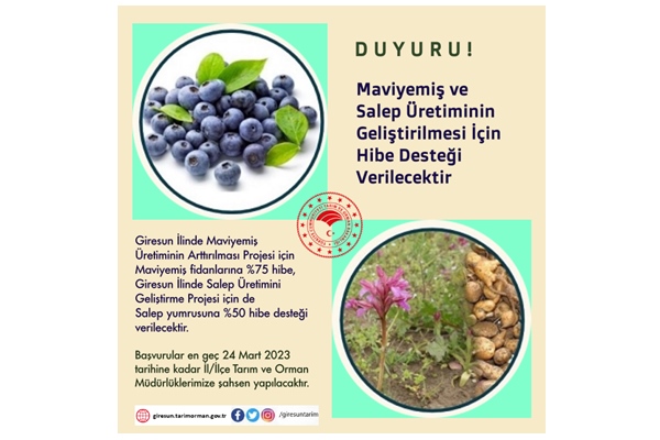 Maviyemiş ve Salep Üretimine destek var