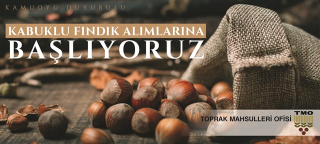 Milletvekili Ali Temür, ilk alım günü TMO’ya fındık verdi…