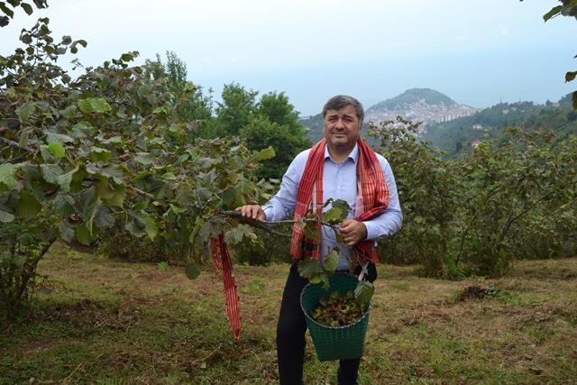 Aytekin Şenlikoğlu, 84 TL’ye fındık bahçesinden teşekkür etti