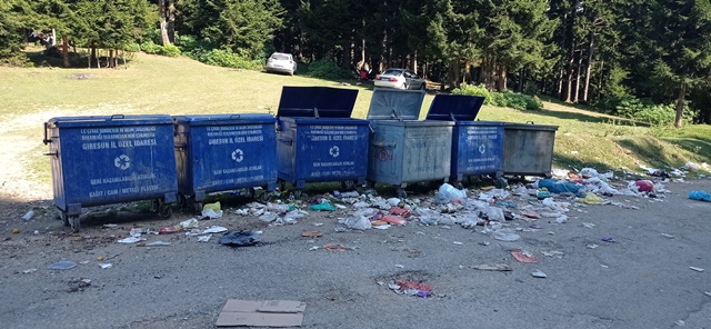 Giresun yaylalarında ürperten görüntüler