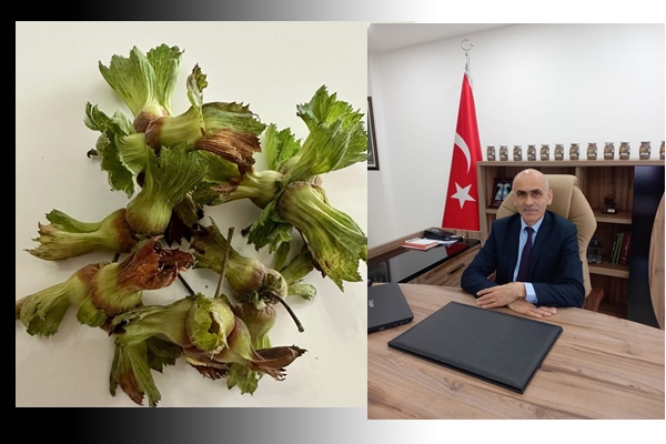 Nurittin Karan: “Fındık 120 TL olmasın diye müdahale ediyorlar”…