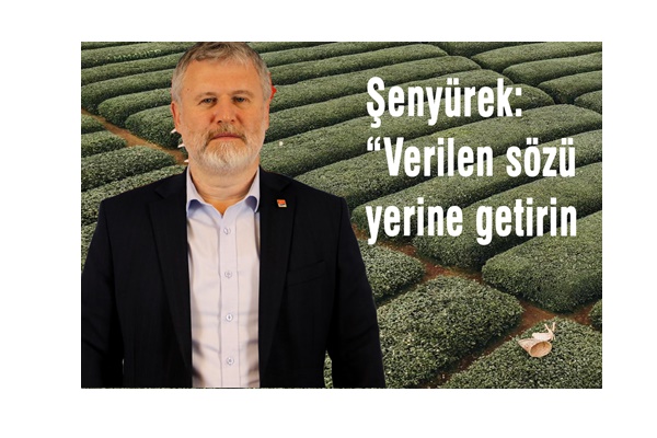 TİREBOLU ÇAY FABRİKASI NE OLDU?