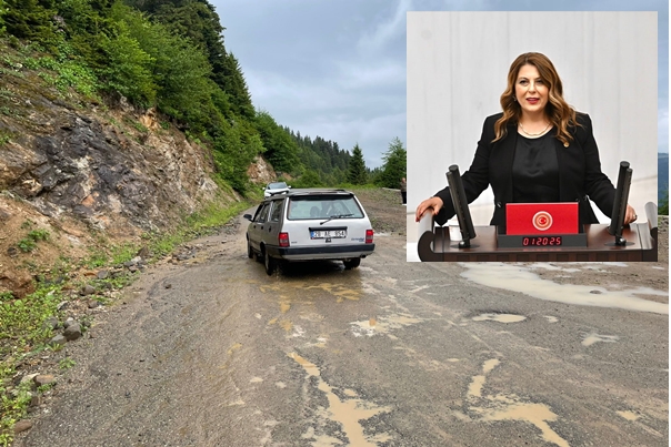 Milletvekili Gezmiş, yol sorununu anlattı