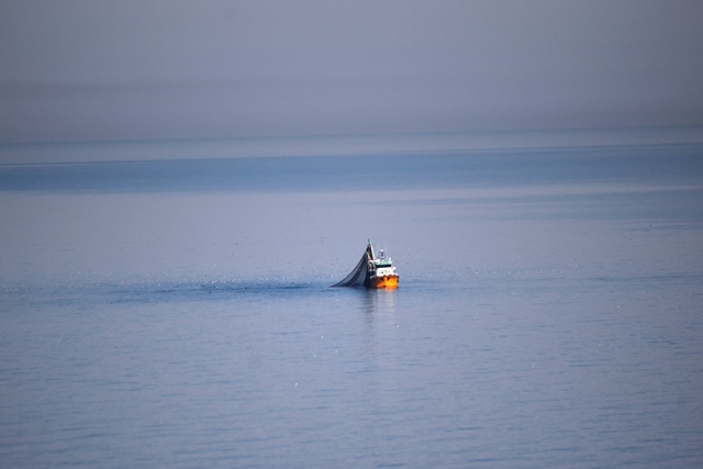 Giresun’un deniz suyu tahlil sonuçları açıklandı