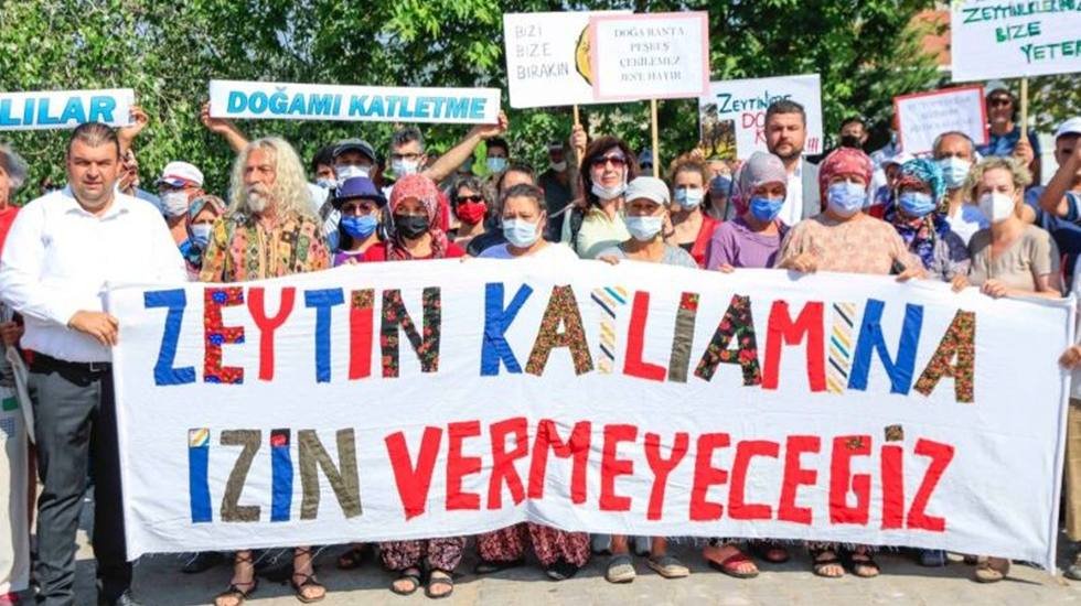 Zeytin Yasası geçiyor