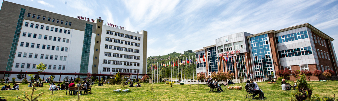 Giresun Üniversitesi’nin doluluk oranı %98,55…