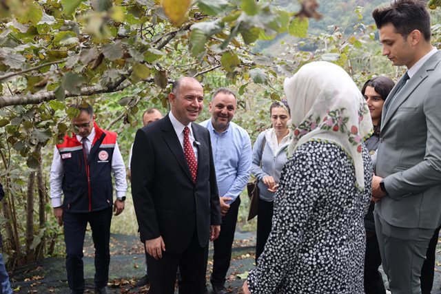 Vali Serdengeçti, Sürdürülebilir Fındık Projesi alanında inceleme yaptı