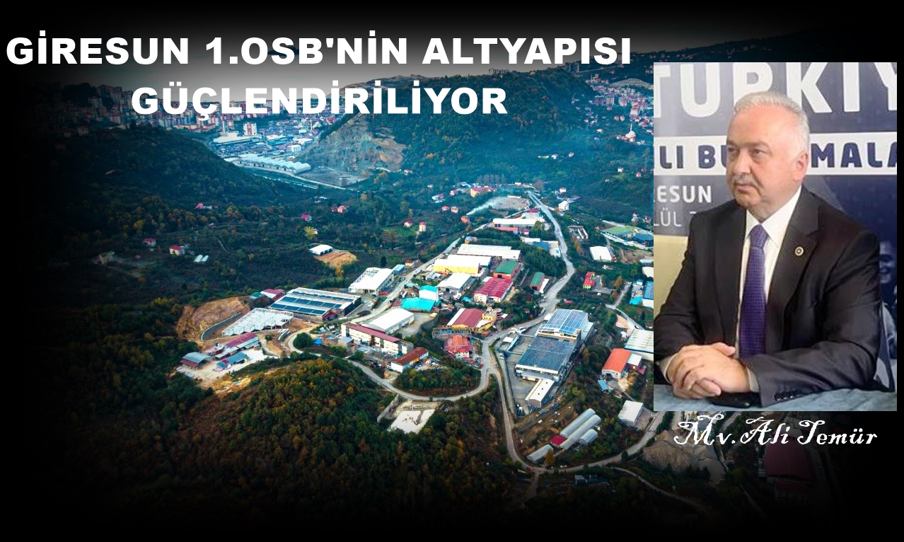 Milletvekili Temür: “95 milyonluk ödenek çıkarttık”