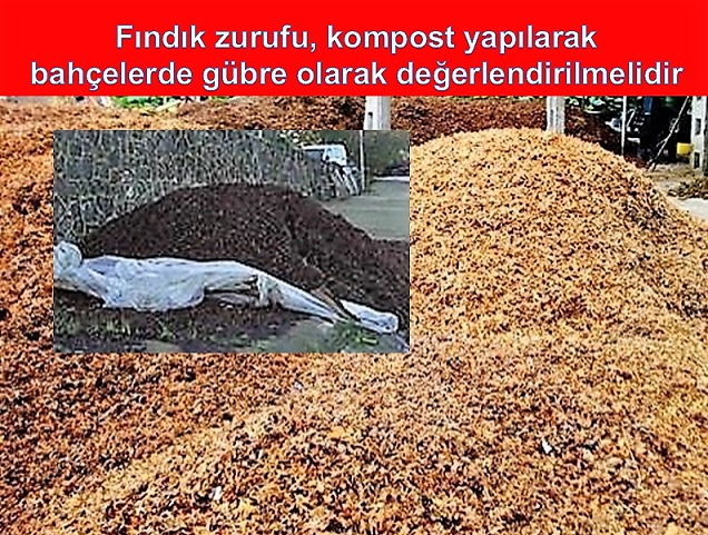 FINDIĞIN ZURUFU DA DEĞERLİ
