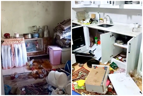 Giresun’da ayı saldırısı