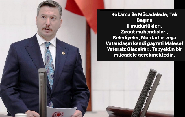MHP MİLLETVEKİLİ KONAL’DAN KOKARCA İÇİN ACİL ÇAĞRI