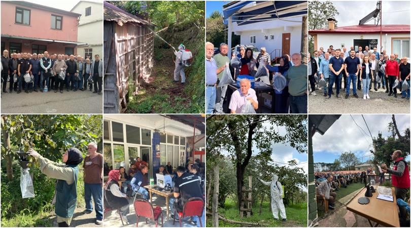 Giresun’da kokarca istilasının nedeni açıklandı