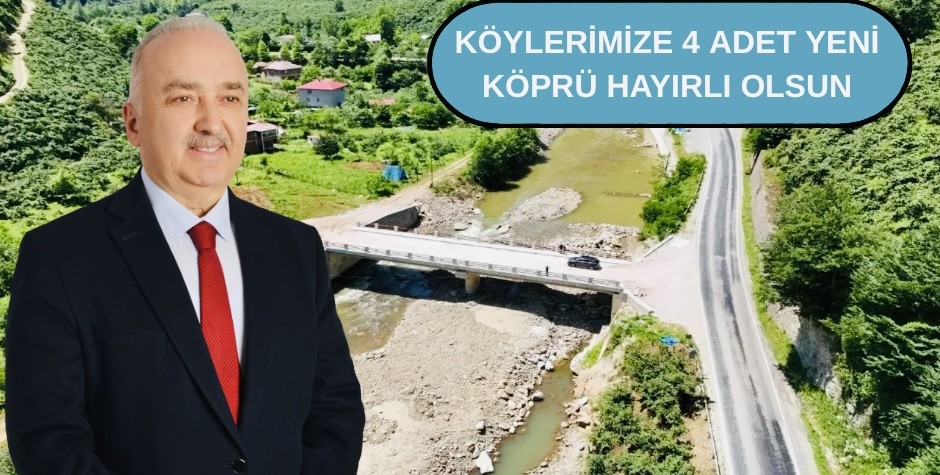 DSİ’NİN KÖPRÜLERİNİ MİLLETVEKİLİ TEMÜR MÜJDELEDİ
