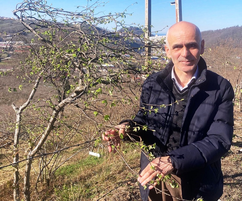 Ziraat Odası Başkanı Karan fındık üreticisine uyarı Ziraat Odası Başkanı Karan fındık üreticisine uyarı