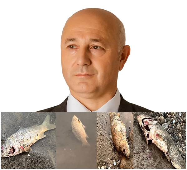 Ahmet Şahin Harşit’taki balık ölümlerinin nedenini araştırtmıyor mu?