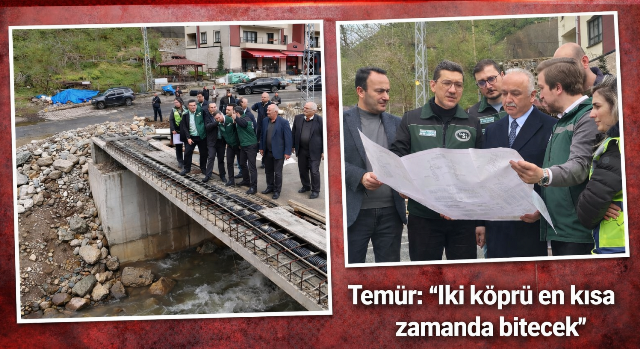 Ali Temür Batlama vadisindeki DSİ projelerini inceledi