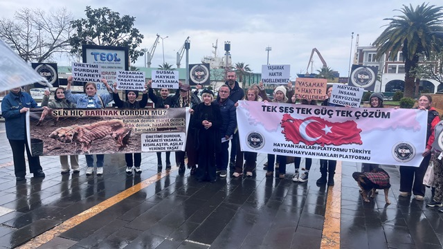 Giresun Hayvan Hakları Platformu’ndan çağrı ve iddialar… Giresun Hayvan Hakları Platformu’ndan çağrı ve iddialar…