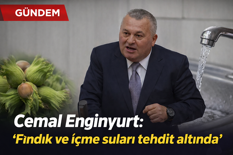 Temür’ün seçim bölgesindeki maden tehditini Ordulu Enginyurt sordu