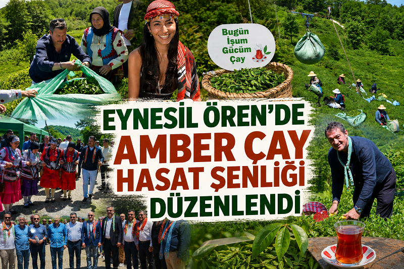 Amber Çay Festivali’nde ilginç görüntüler