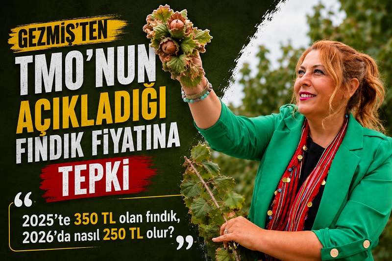 YENİ PARTİ GİRESUN MİLLETVEKİLİ GEZMİŞ’TEN TEPKİ YENİ PARTİ GİRESUN MİLLETVEKİLİ GEZMİŞ’TEN TEPKİ