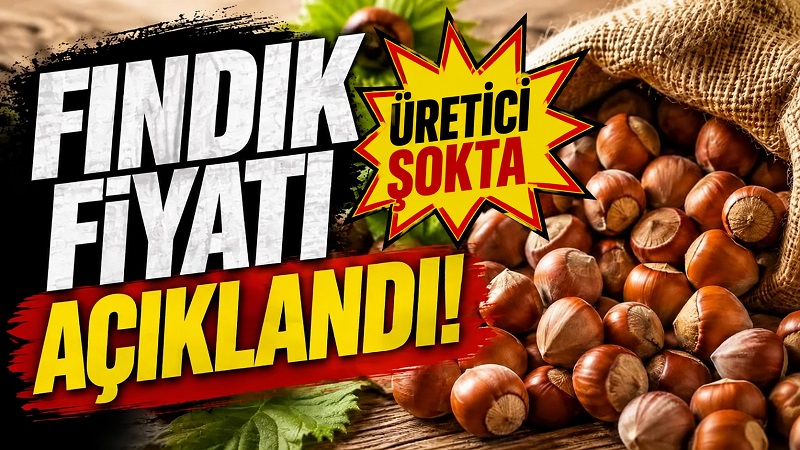 TMO fındık fiyatını 250 lira olarak açıkladı. Giresun kaliteye 5 lira fark TMO fındık fiyatını 250 lira olarak açıkladı. Giresun kaliteye 5 lira fark